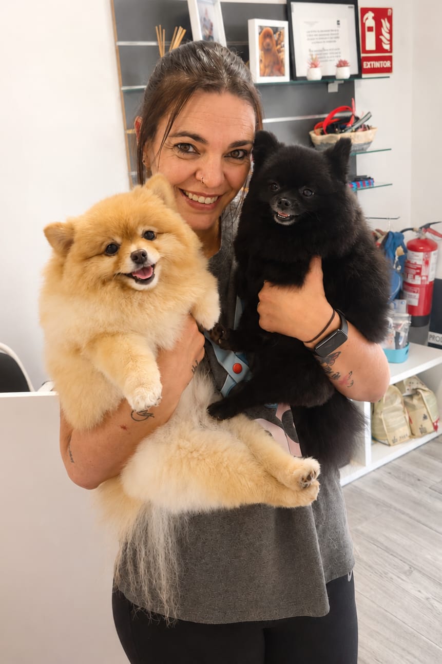 Atención individual con dos pomerania